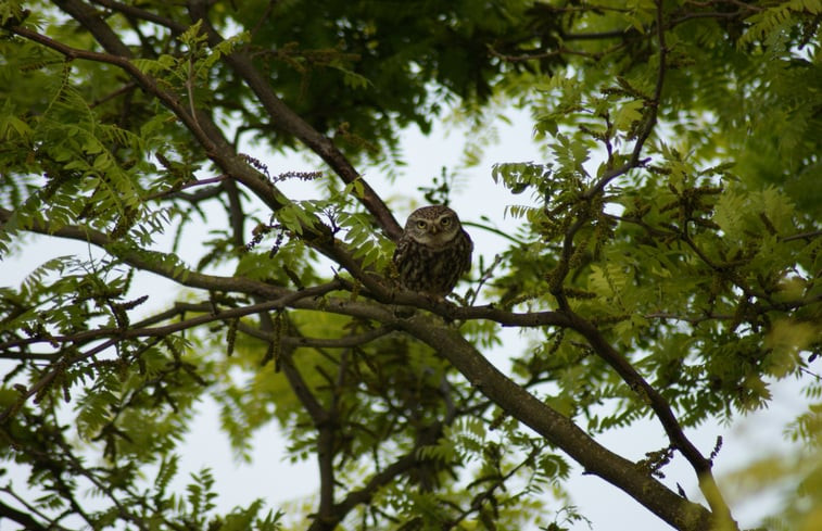 Natuurhuisje in Zutphen