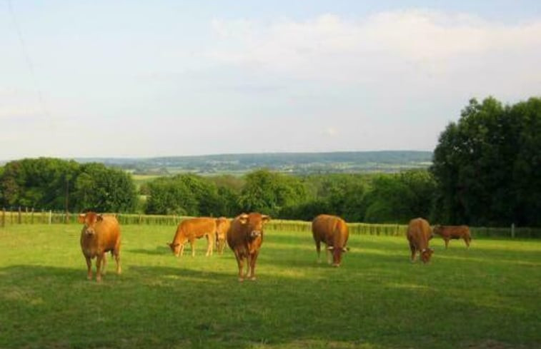 Natuurhuisje in Gulpen - Wittem