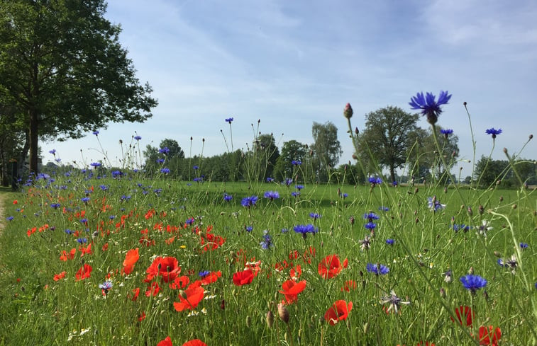 Natuurhuisje in Sinderen