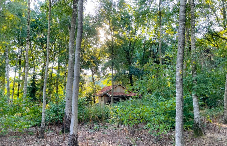 Natuurhuisje in Zelhem