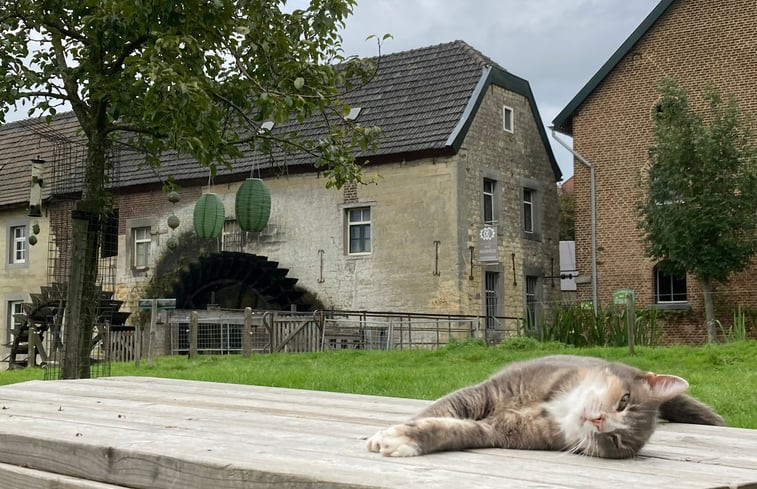 Natuurhuisje in Wijlre