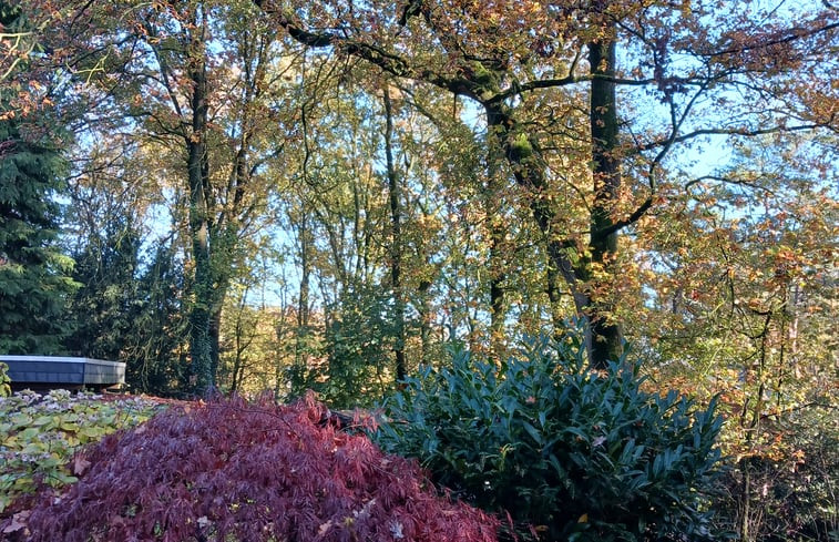 Natuurhuisje in Uelsen