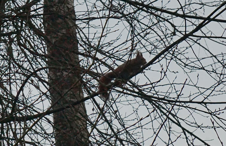 Natuurhuisje in Zorgvlied