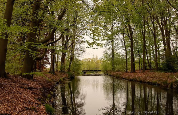 Natuurhuisje in Bornerbroek