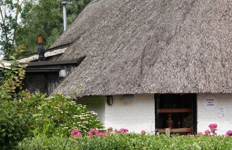 Natuurhuisje in Kollumerzwaag