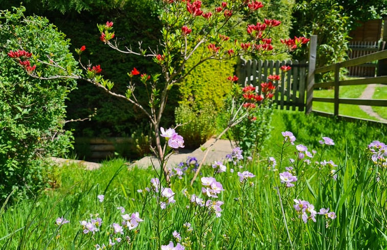 Natuurhuisje in knighton