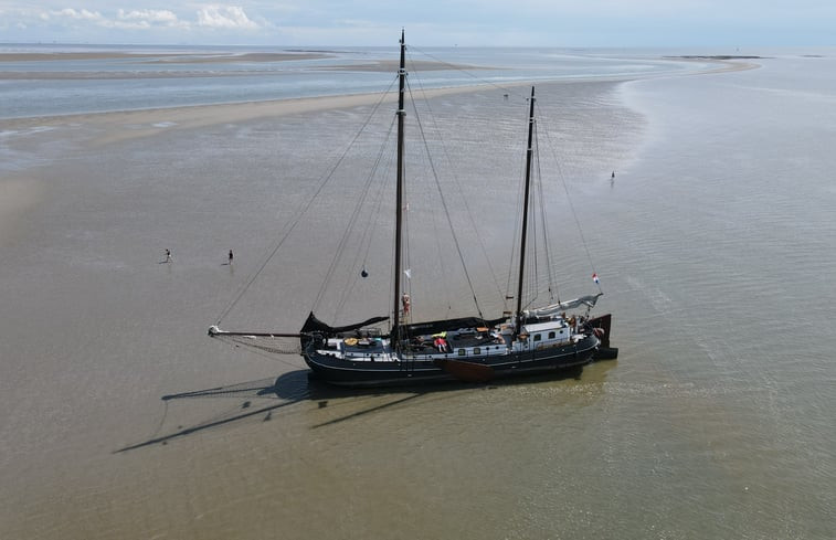 Natuurhuisje in Harlingen