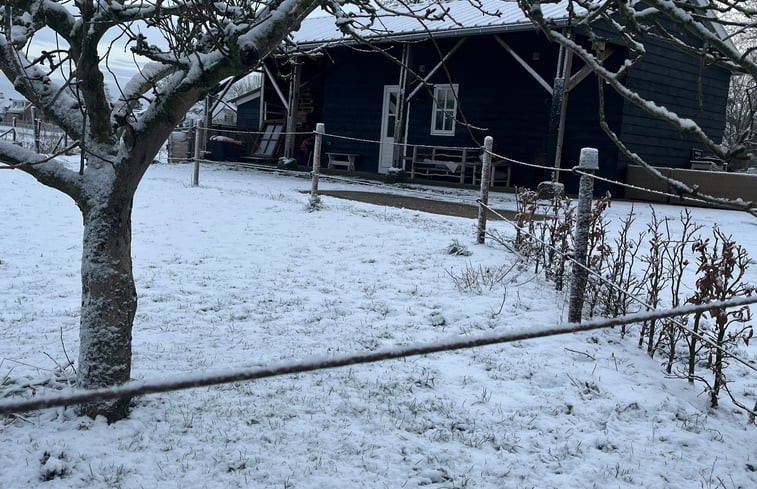 Natuurhuisje in Herwijnen