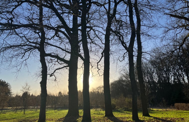 Natuurhuisje in Epe