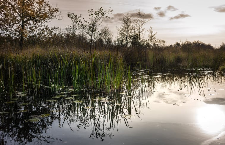 Natuurhuisje in Kalenberg