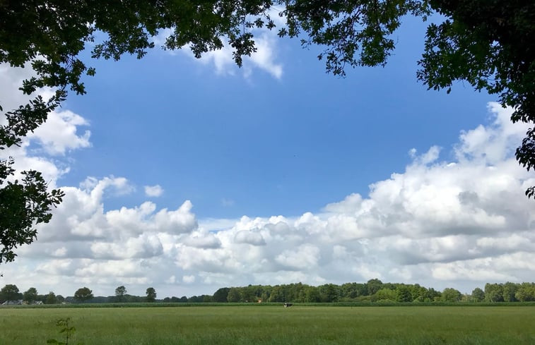 Natuurhuisje in Boijl