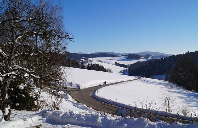 Natuurhuisje in Röhrnbach