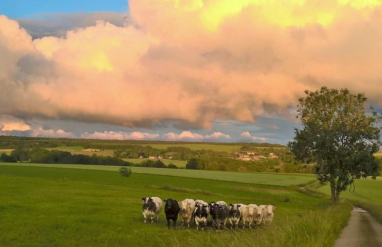 Natuurhuisje in Méan