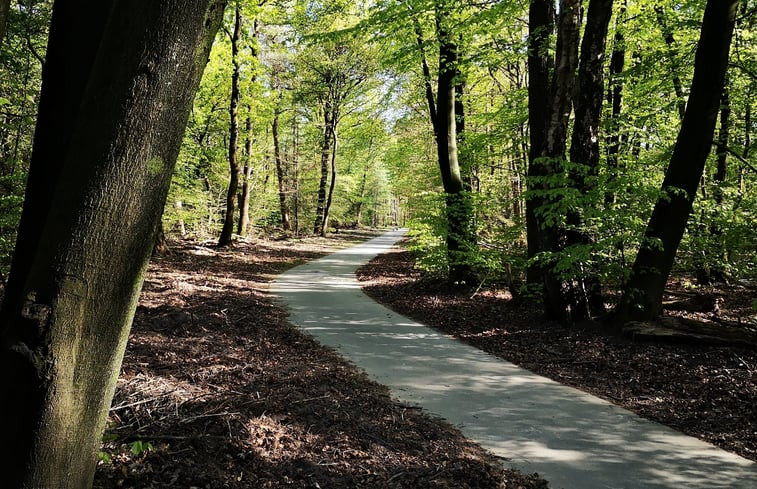 Natuurhuisje in Putten