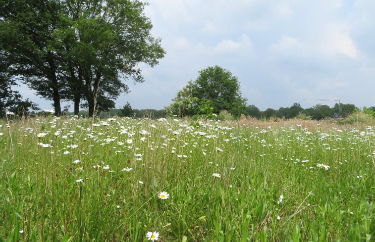 Natuurhuisje in Biest-Houtakker