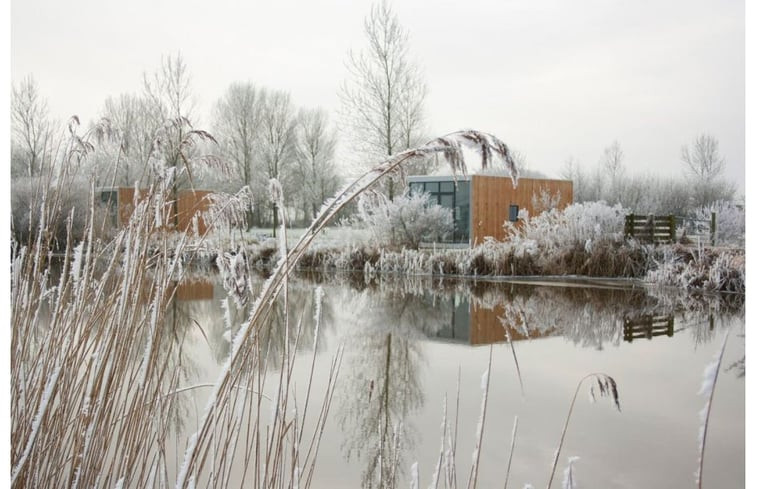 Natuurhuisje in Weidum