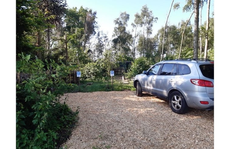 Natuurhuisje in Nederweert Eind