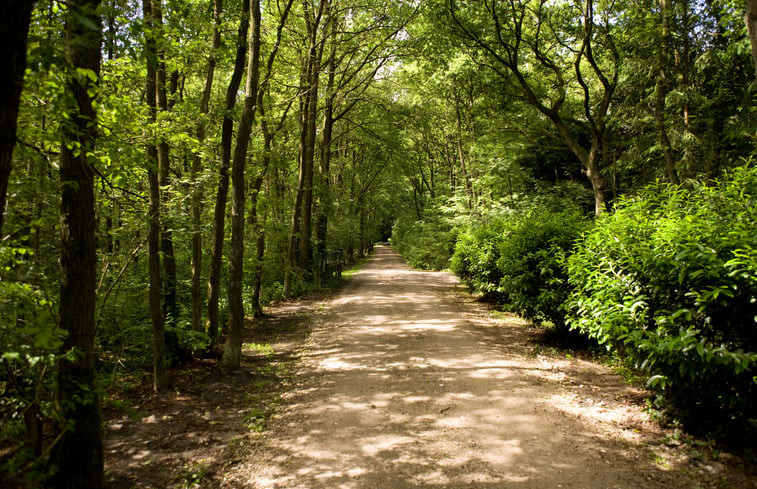 Natuurhuisje in Wateren