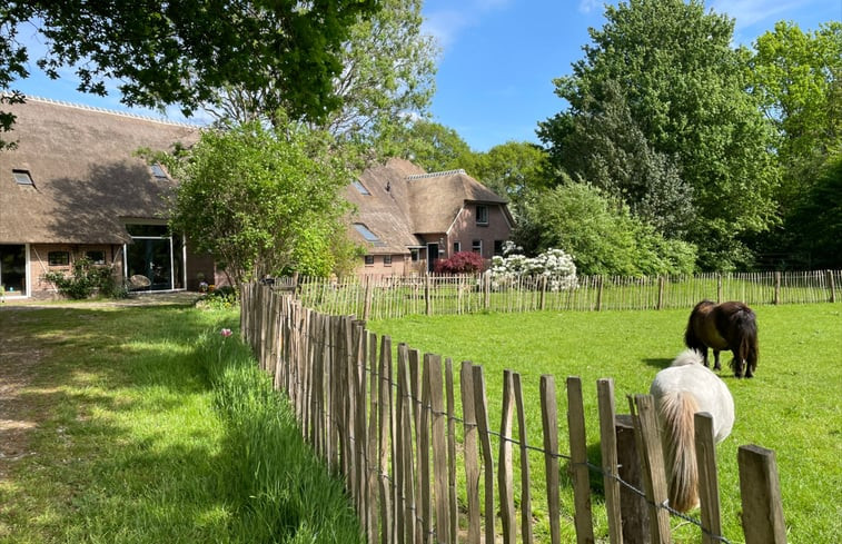 Natuurhuisje in Zwiggelte