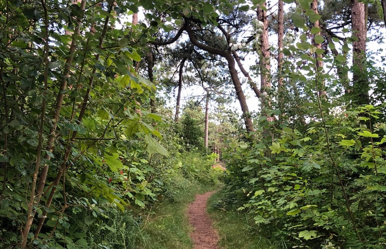 Natuurhuisje in Terschelling