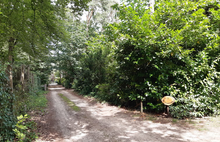 Natuurhuisje in Holten