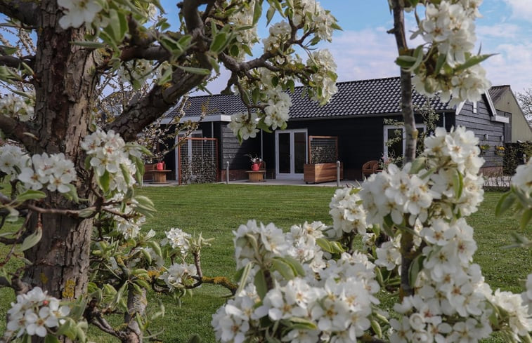 Natuurhuisje in Sommelsdijk