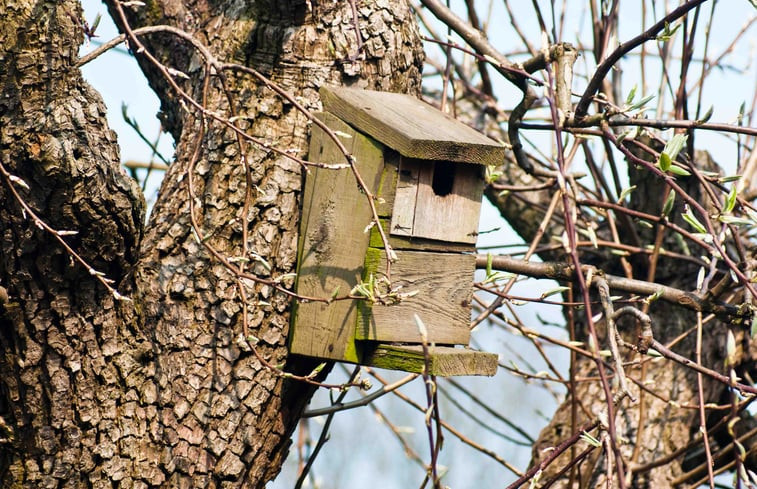 Natuurhuisje in Velden