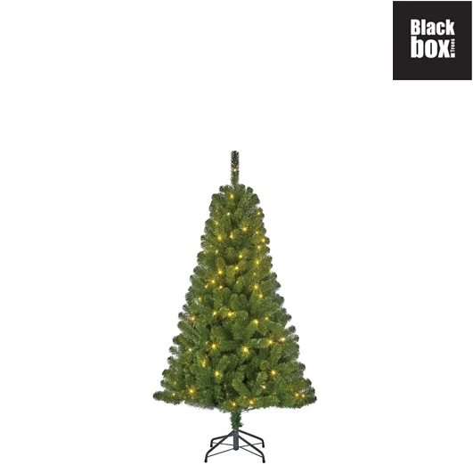 Black Box Kerstboom Charlton met led groen h120 x d76cm