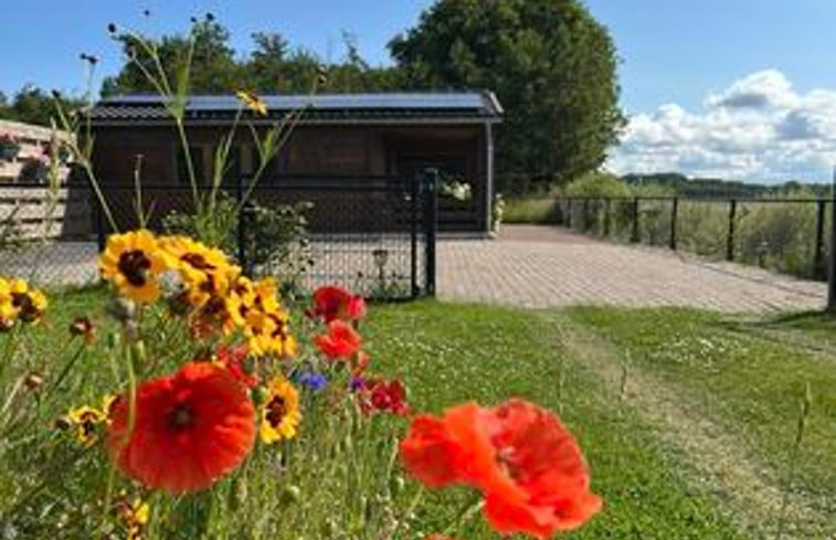 Natuurhuisje in Goedereede