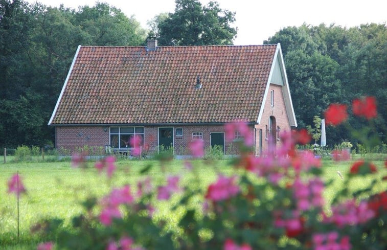 Natuurhuisje in de Lutte