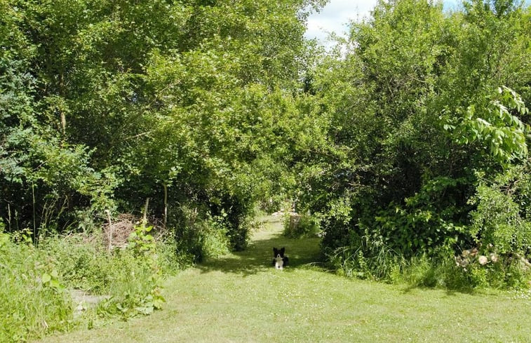 Natuurhuisje in Rügen / Datzow