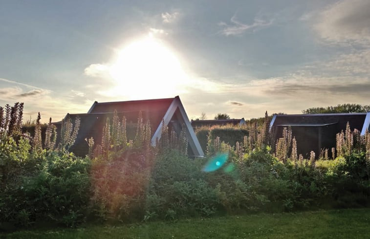 Natuurhuisje in Warmenhuizen