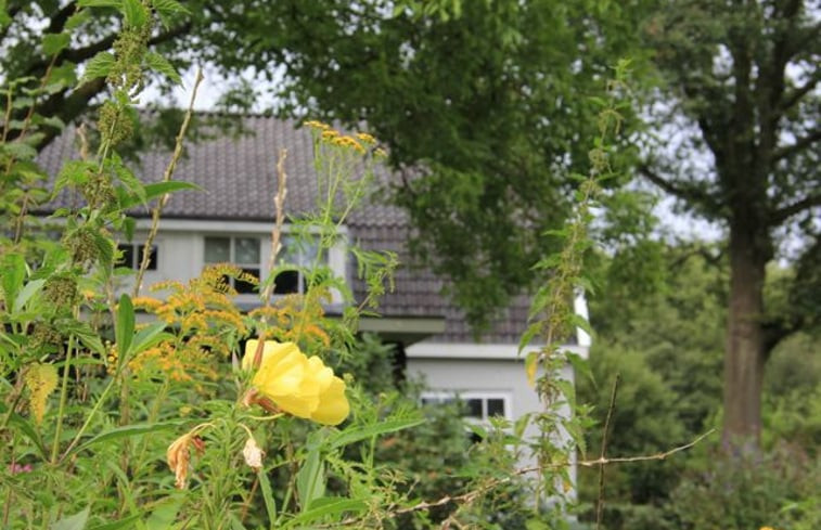 Natuurhuisje in Oirschot