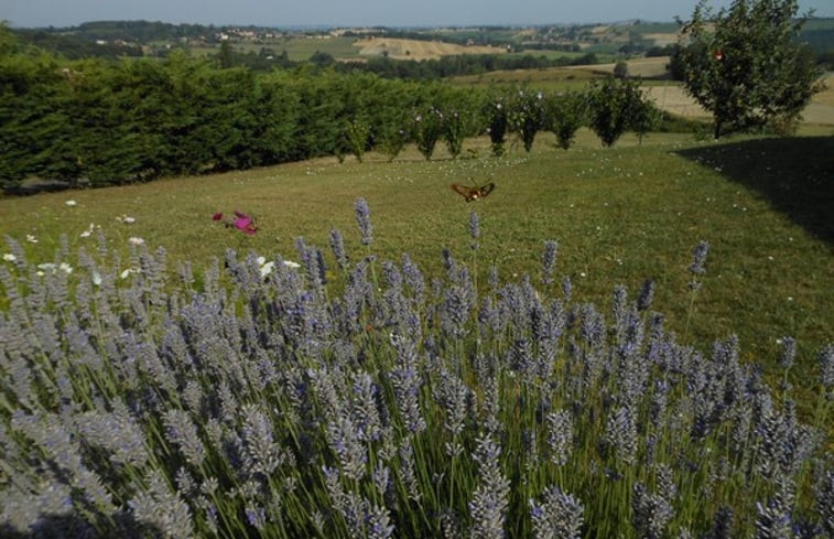 Natuurhuisje in Saint Lary Boujean