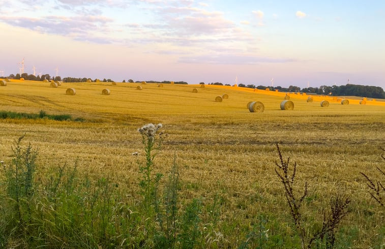 Natuurhuisje in Satow