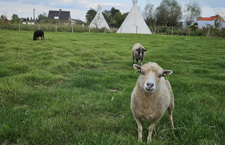 Natuurhuisje in Ravels