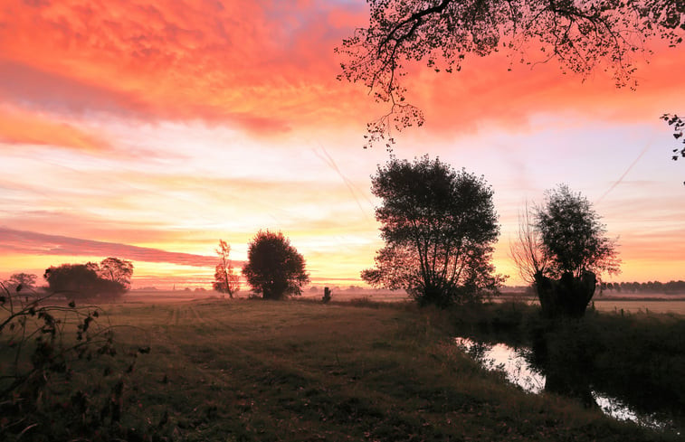 Natuurhuisje in zarren