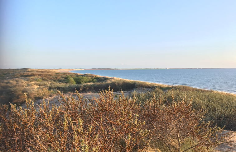 Natuurhuisje in Ouddorp