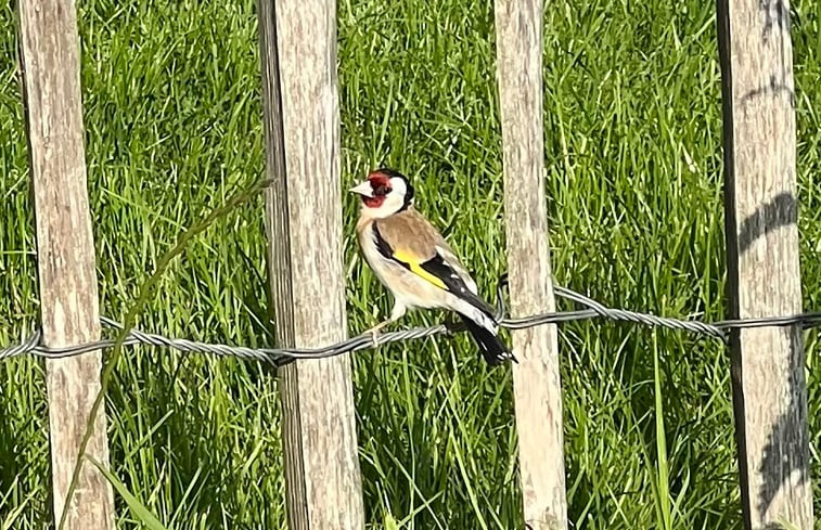 Natuurhuisje in Bodegraven