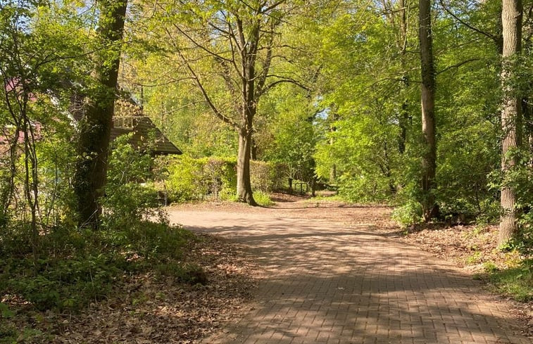 Natuurhuisje in Winterswijk Meddo