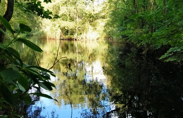 Natuurhuisje in Kollumerzwaag