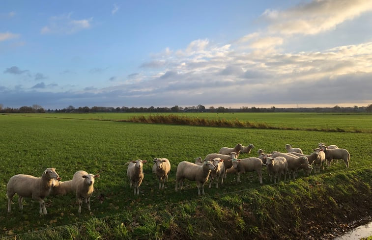 Natuurhuisje in Lochem