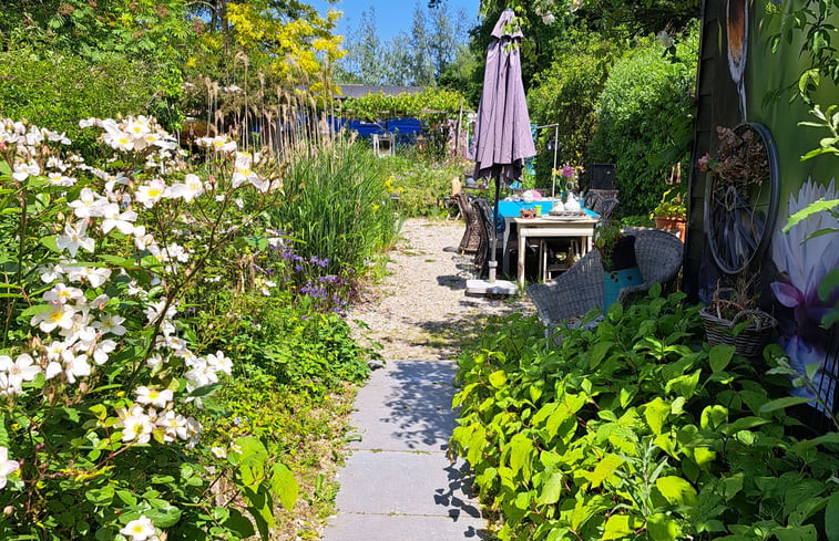 Natuurhuisje in Wolphaartsdijk