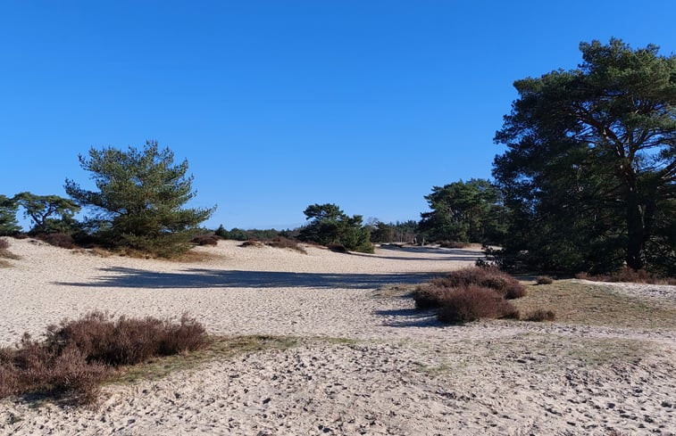 Natuurhuisje in Soest