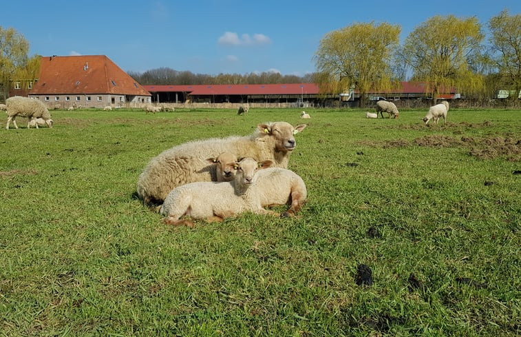 Natuurhuisje in Roermond