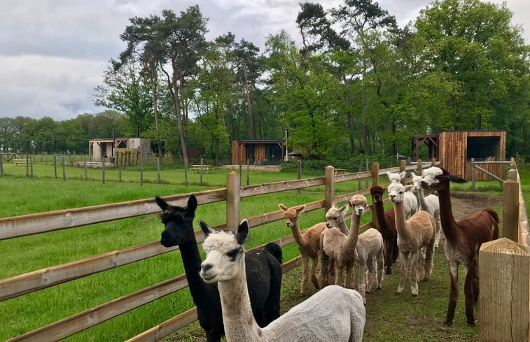 Natuurhuisje in Mariahout