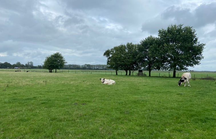 Natuurhuisje in Holten