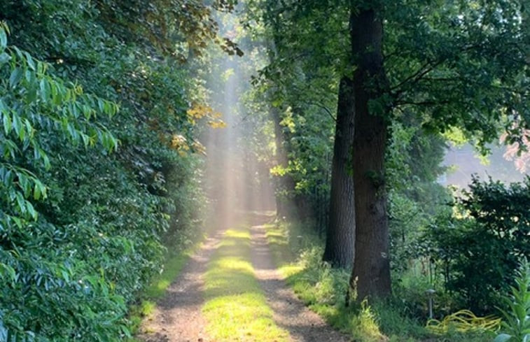 Natuurhuisje in Hattem