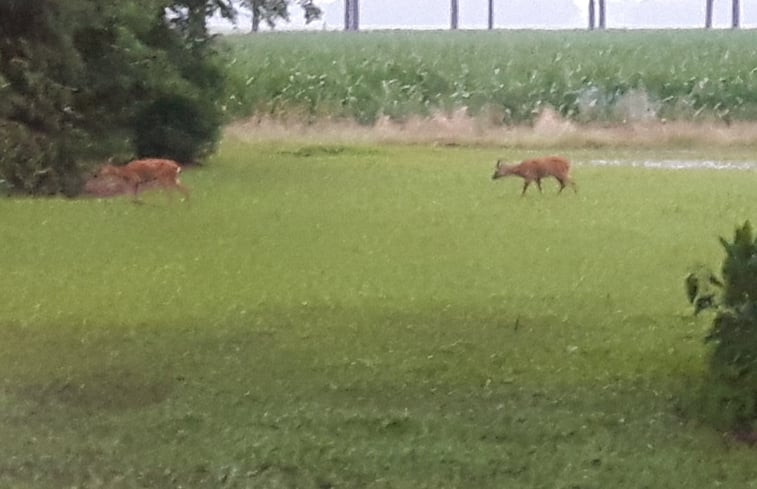 Natuurhuisje in Boijl