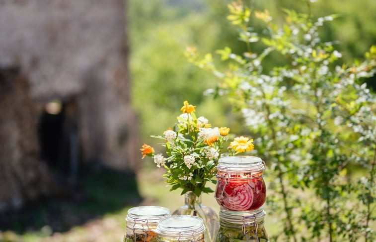 Natuurhuisje in Mieres